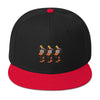 E. P. Lee, and the puppy howls collections all, BIG DADDY BAND Snapback Hat , Big Daddy collection, Family Flamingo collection