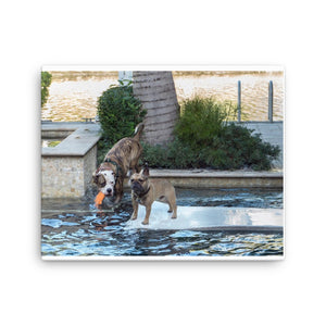E. P. Lee, and the puppy howls collections all, FREUD/SANDY "POOL PLAY" 20 X16" Canvas Print, Freud & Friends collection